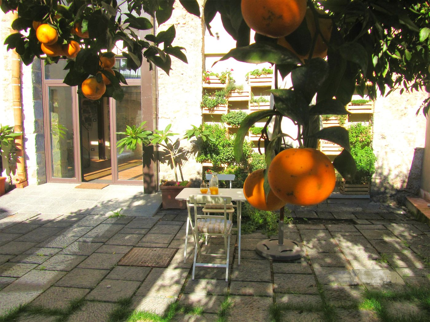 Le arance della corte